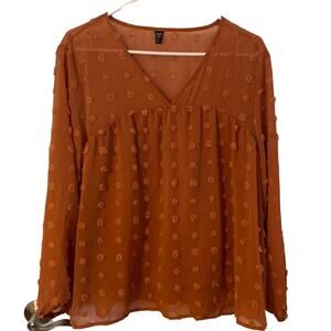 Shein Curve Long Sleeve Flowy Blouse 1X